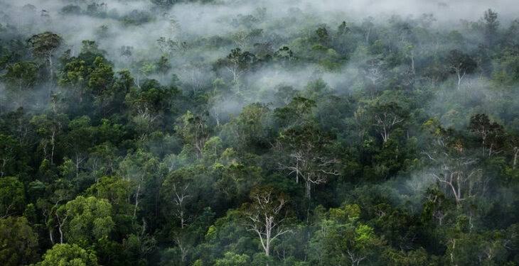 KLHK Lakukan Pelapasan Kawasan Hutan Seluas 1,35 Hektare di Kabupaten Bandung Barat