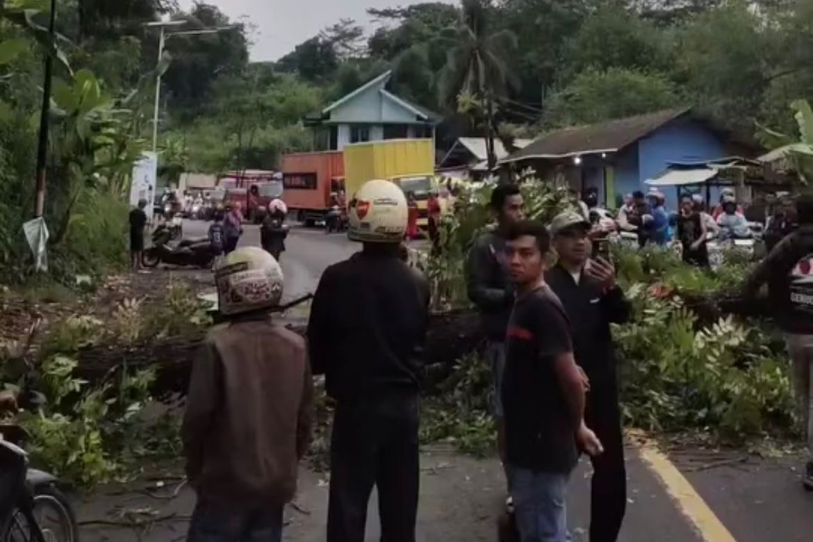 Seorang warga Cipeundeuy meninggal dunia usai tertimpa pohon tumbang di Cipatat (foto: Dulurner Info Bandung Barat)