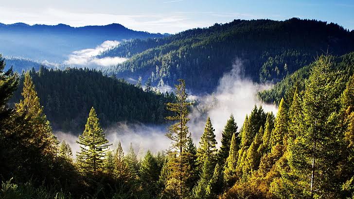 Mulasara Buana: Cara Orang Sunda Menjaga Ikatan Batin Manusia dengan Gunung, Hutan, dan Alam